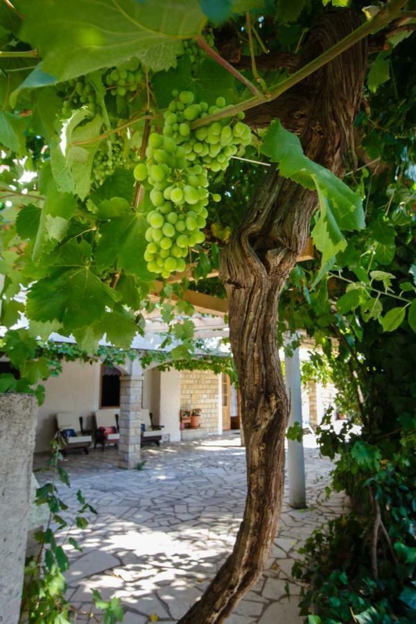 Apartment Nina Supetarska Draga